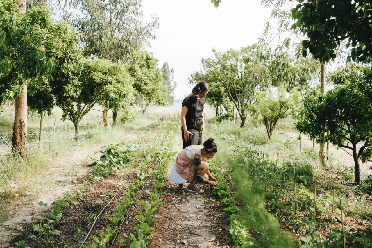 הוילה Águas de Moura Humus Farm מראה חיצוני תמונה